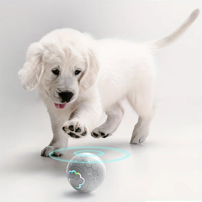 Smart Rechargeable LED Pet Ball